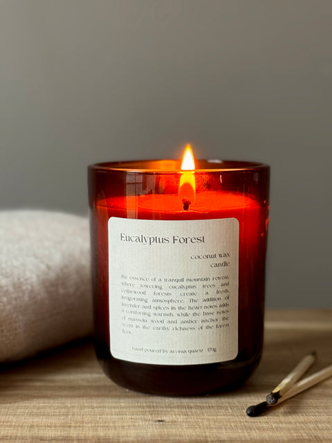 Eucalyptus Forest Coconut Wax Candle