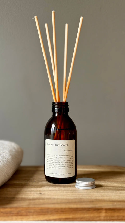 Eucalyptus Forest | Luxury Reed Diffuser