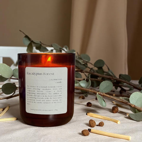 Eucalyptus Forest Coconut Wax Candle