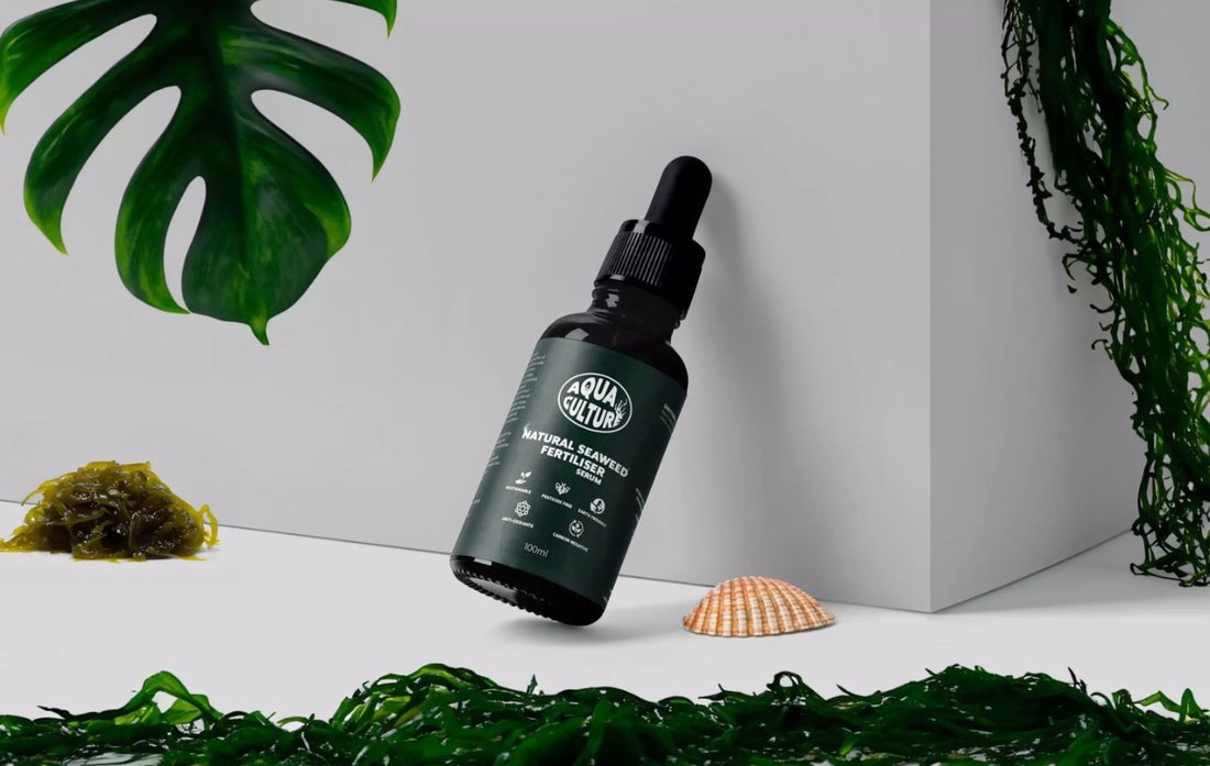 Seaweed Serum - Seaweed Fertiliser