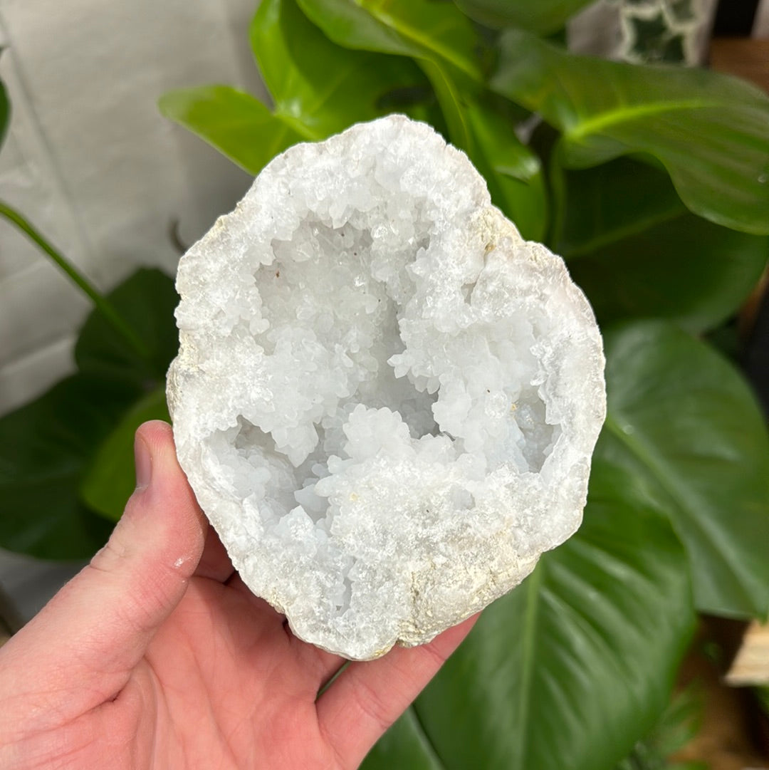 Large White Quartz Geode - WG76