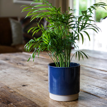 Blue Enos Pot - Indoor Planter H13.5cm x D13cm