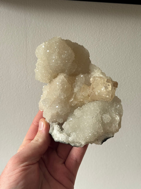 Apophyllite Cluster