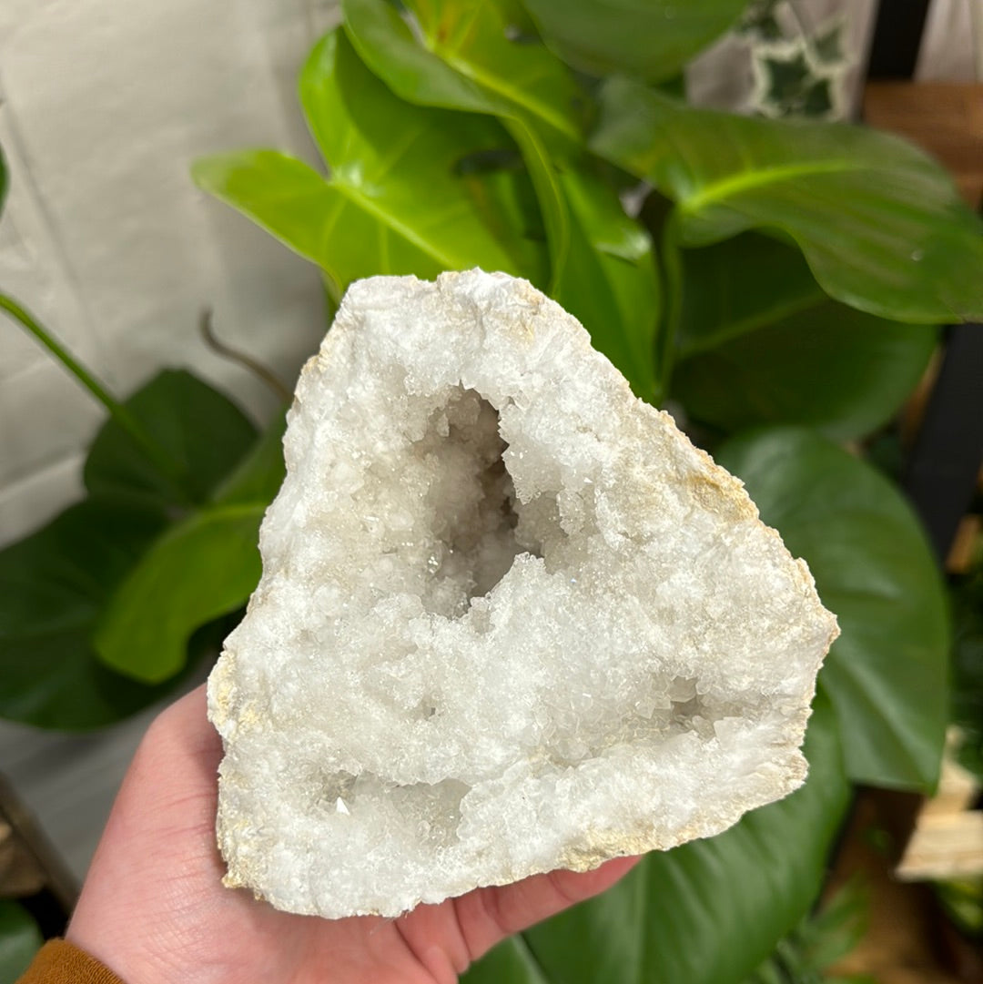 Large White Quartz Geode - WG75