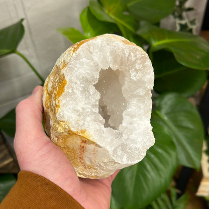 Large White Quartz Geode - WG74