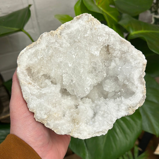 Large White Quartz Geode - WG72