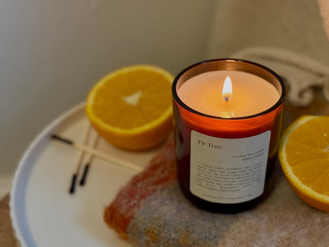 Fir Tree: Limited Edition Coconut Wax Candle
