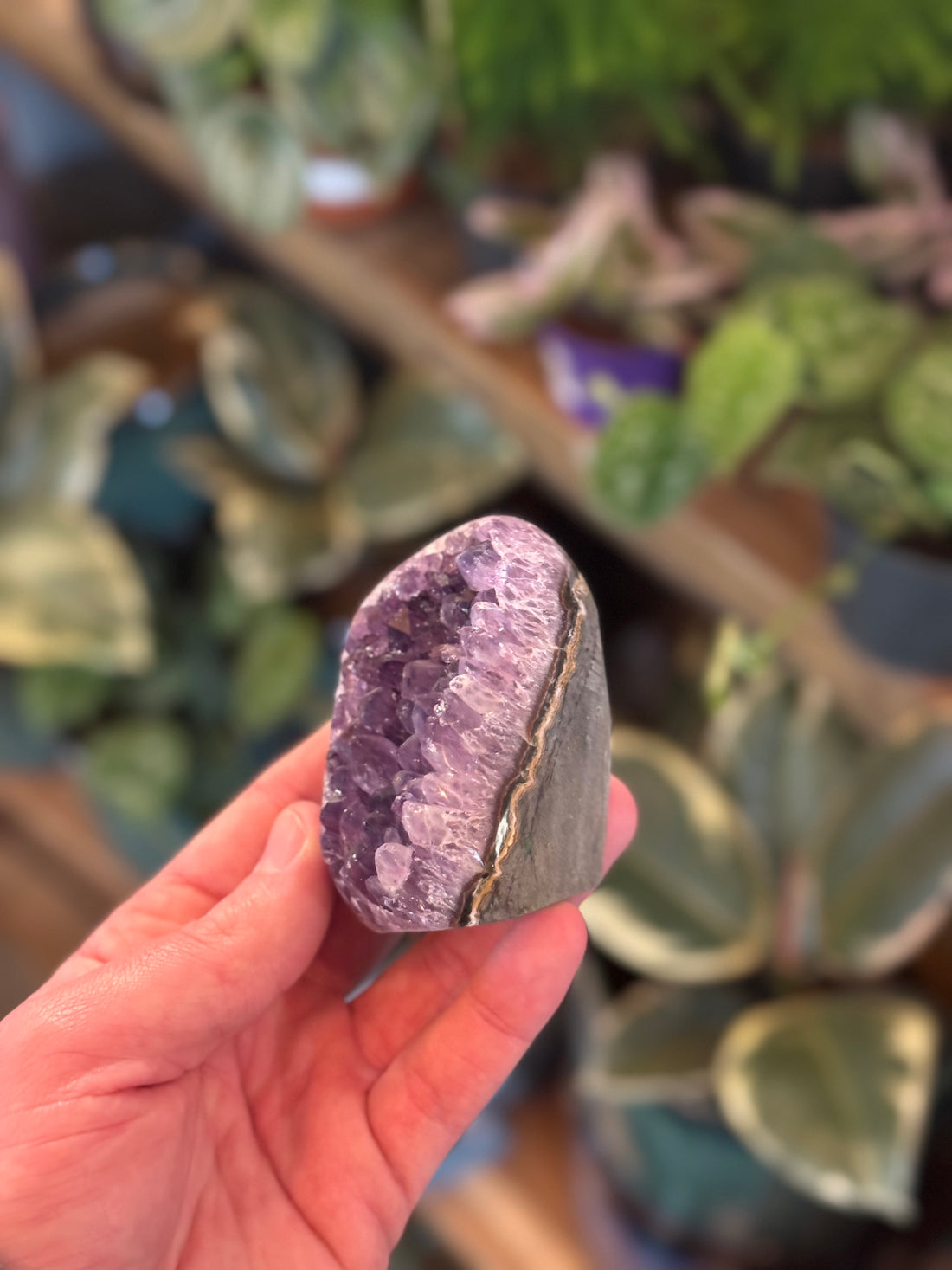 Amethyst Geode AGC4