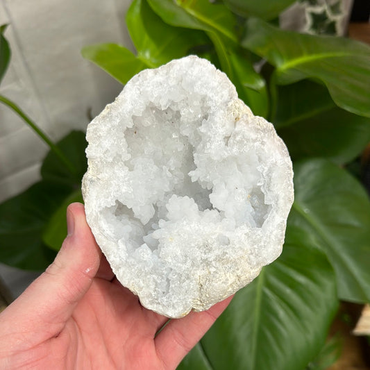 Large White Quartz Geode - WG76