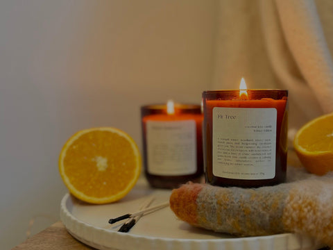 Fir Tree: Limited Edition Coconut Wax Candle