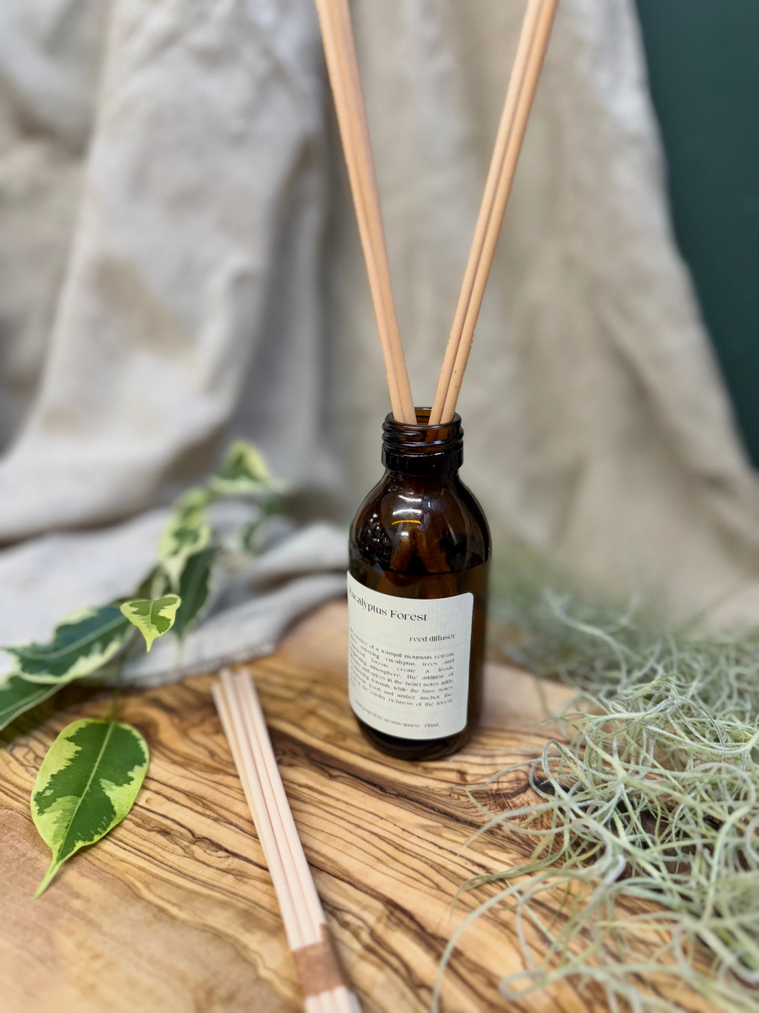 Eucalyptus Forest | Luxury Reed Diffuser