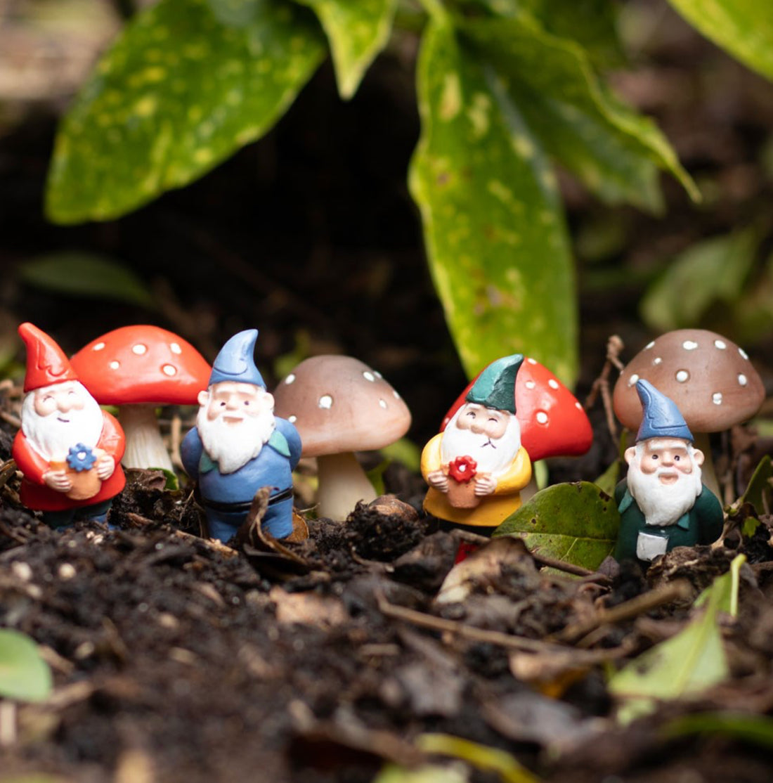 Set of 4 Mini Gnome Plant Pot Pals