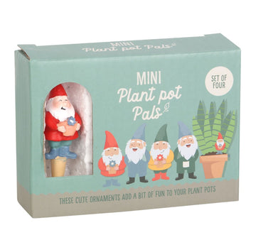 Set of 4 Mini Gnome Plant Pot Pals