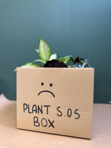 HELP! Plant SOS Box