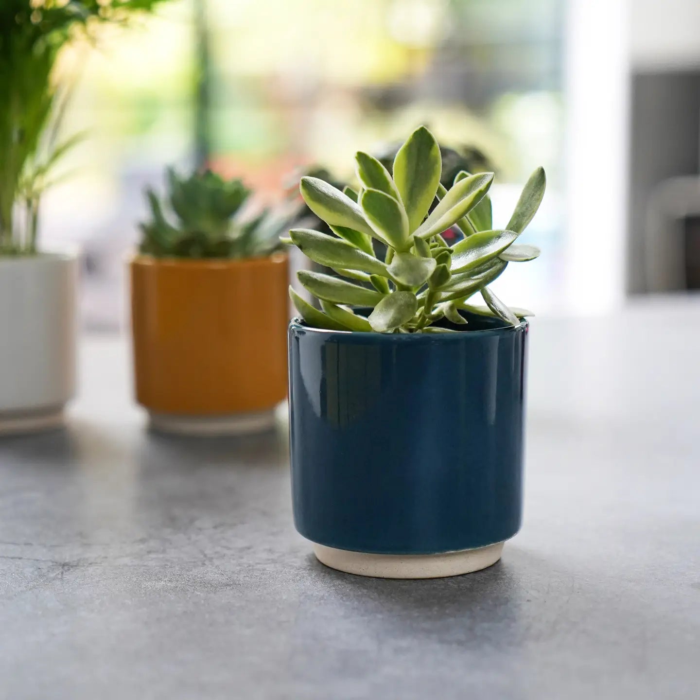 Blue Enos Ceramic Indoor Plant Pot - H7.5cm D7cm