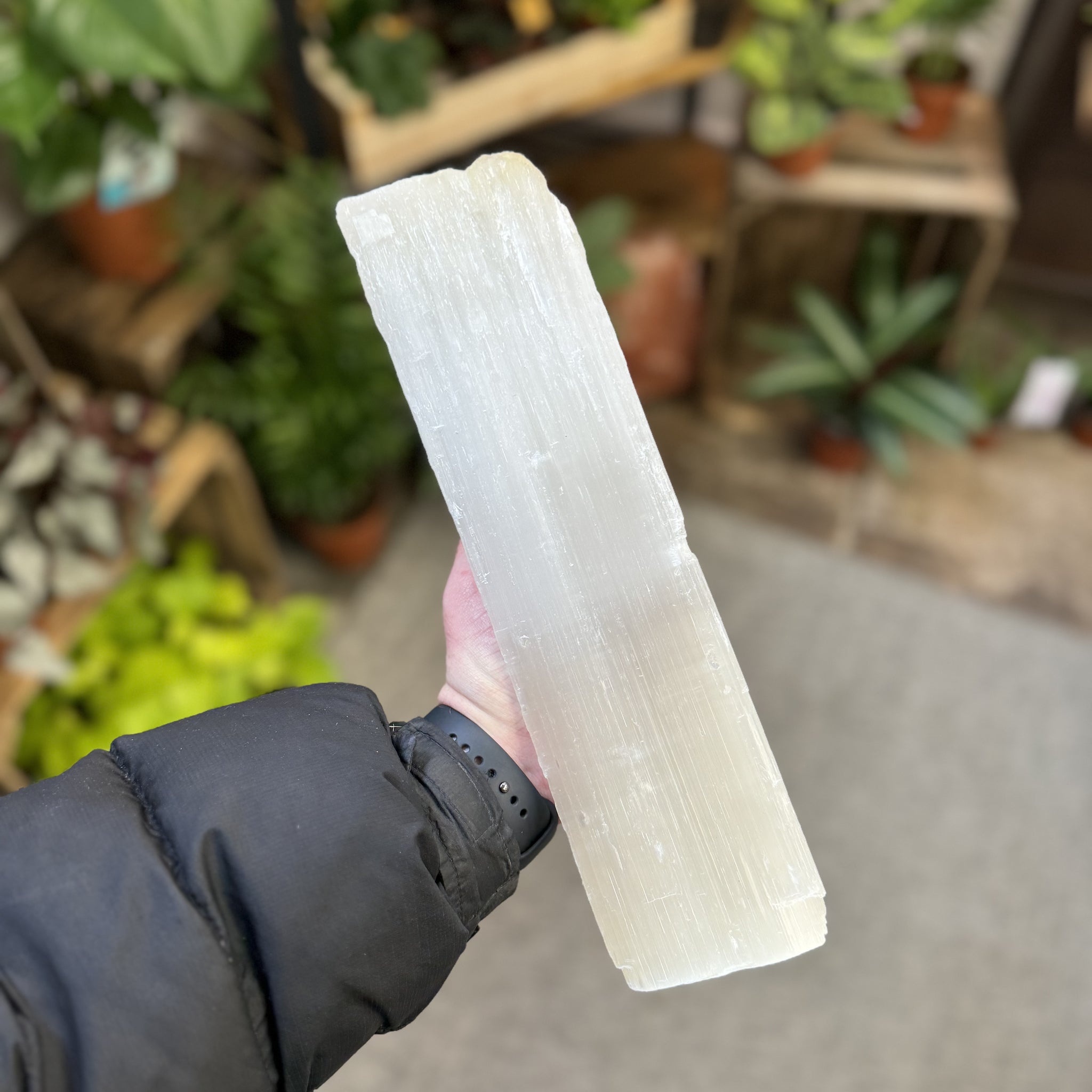 Large Raw Selenite Log/Stick SEL1023