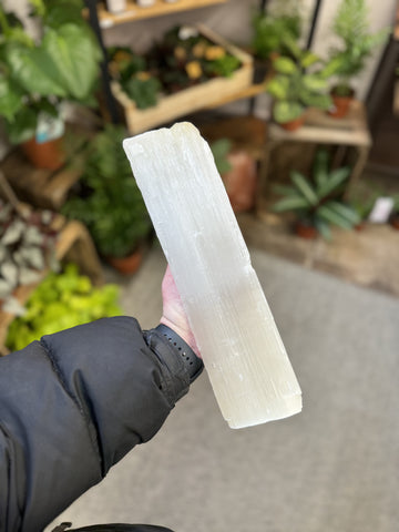 Large Raw Selenite Log/Stick SEL1023