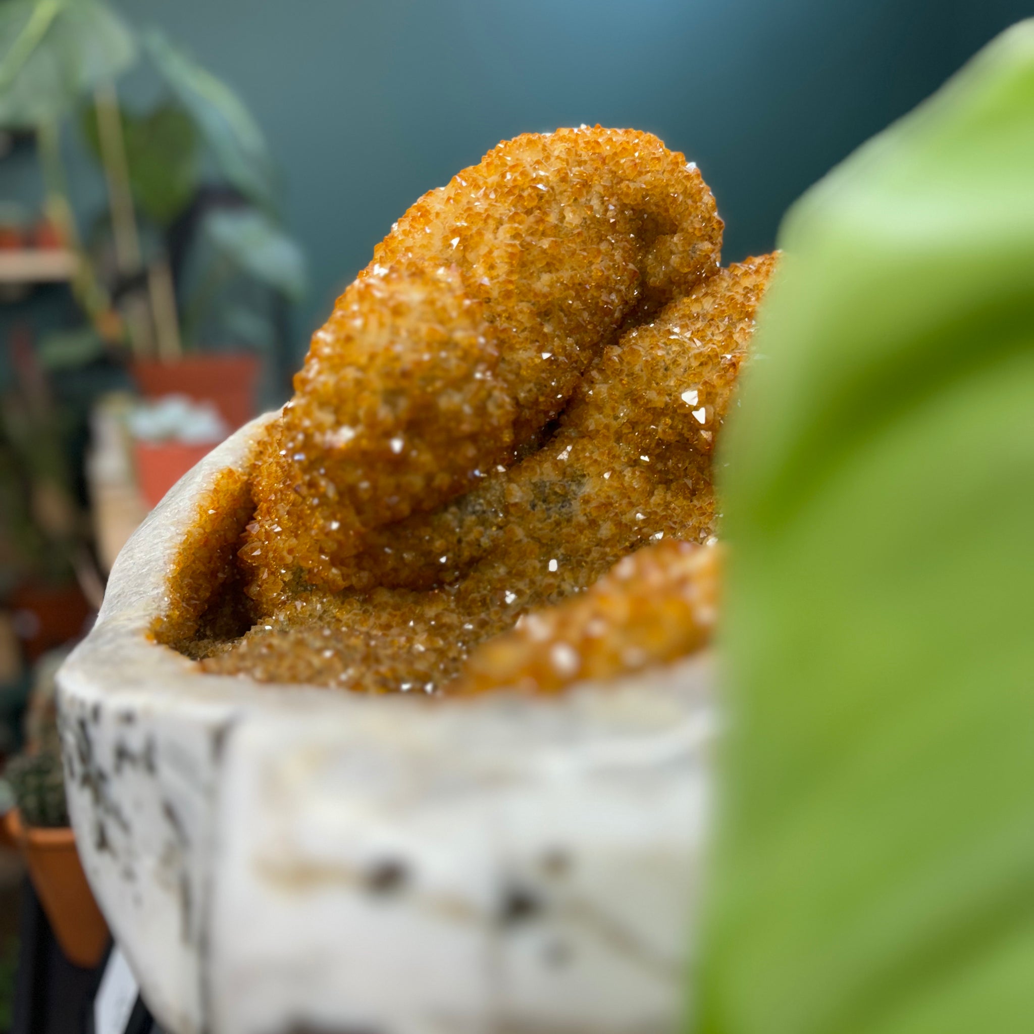 35kg High-Grade Citrine Cluster