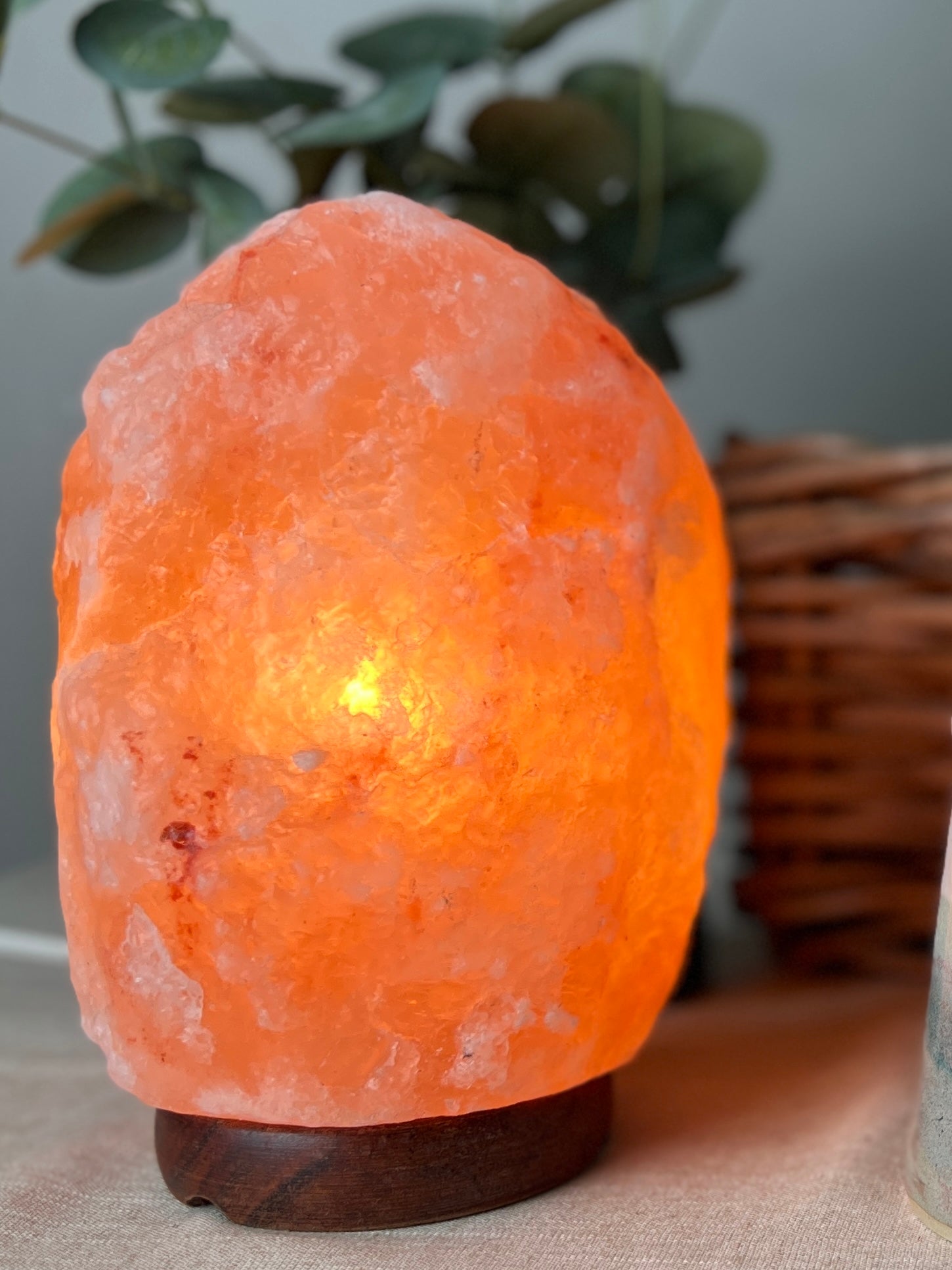 Himalayan Salt Lamp