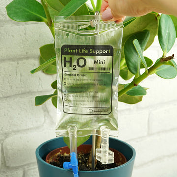 Mini Plant Life Support Bag | Self Watering Plant Tool