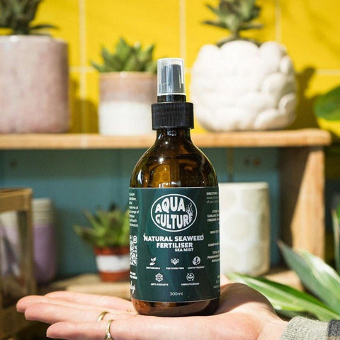 Natural plant food designed to nourish houseplants and promote healthy growth, essential for plant care.
