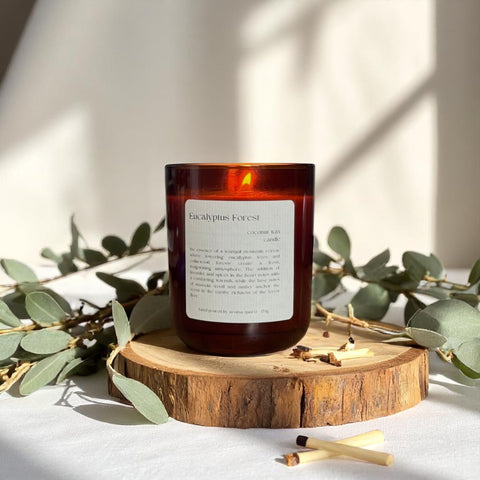 Eucalyptus Forest: Coconut Wax Candle